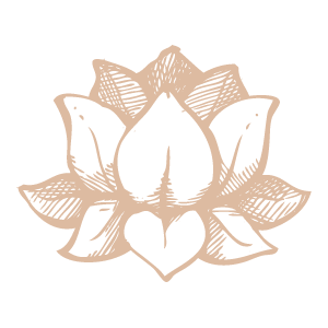 lotus lotus