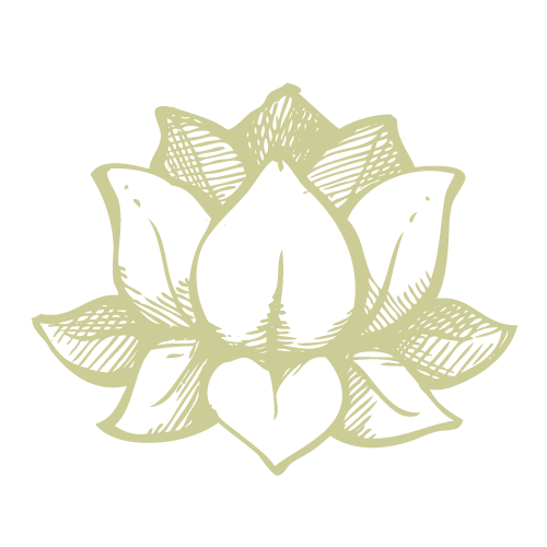 lotus lotus 1